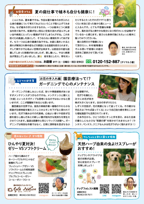 木村植物園かわら版2025年7月号④
