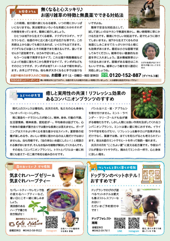 木村植物園かわら版2025年8月号④