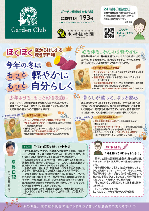 木村植物園かわら版2025年11月号①