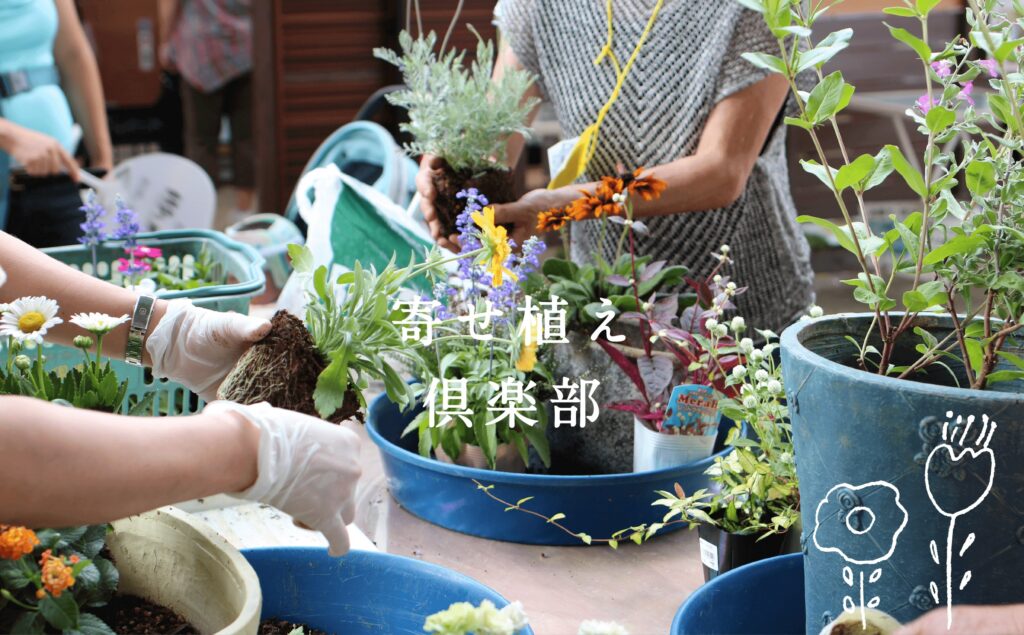 寄せ植え倶楽部ブログ | 木村植物園ガーデン倶楽部「寄せ植え倶楽部