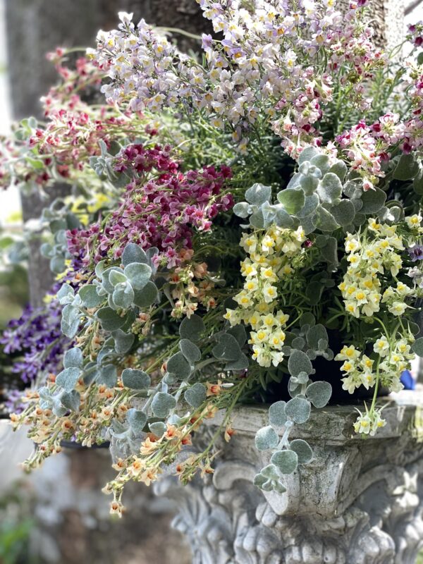 4月の寄せ植え 水曜クラス | 寄せ植え倶楽部ブログ