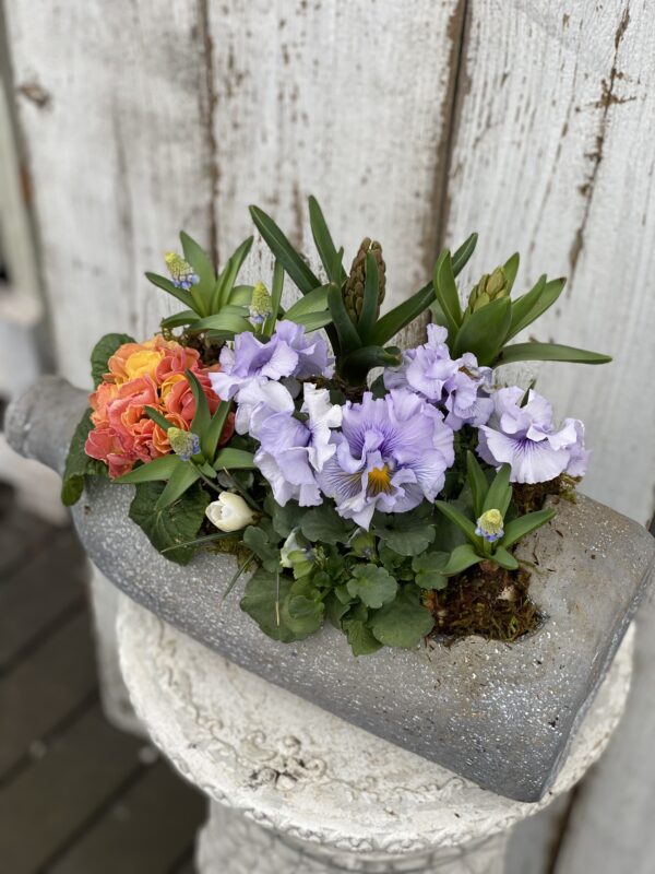 2月の寄せ植え 日曜クラス | 寄せ植え倶楽部ブログ