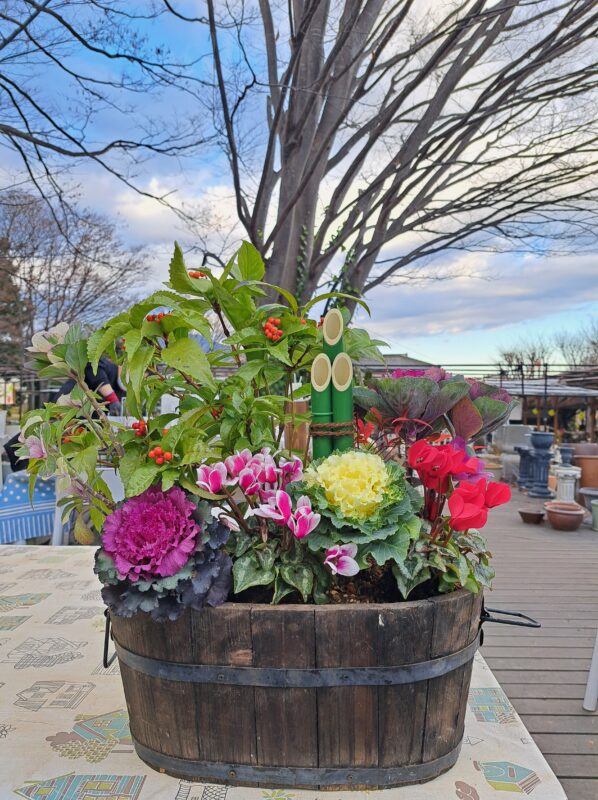 オーダー寄せ植えご相談ページ 91QphSyIIUL._AC_UF350,