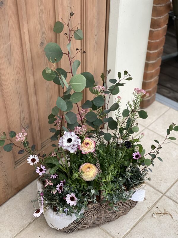 2月の寄せ植え 水曜クラス | 寄せ植え倶楽部ブログ